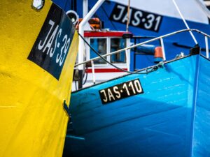 Jastarnia kutry w porcie