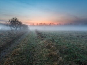 Przewidywanie pogody w Jastarni – obserwacja natury